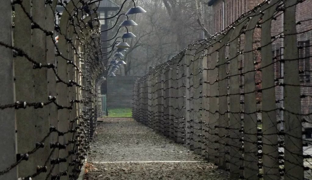 auschwitz-guided-tour