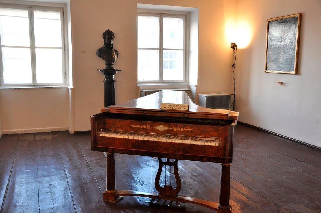 Beethoven Private Tour with Vienna Classical Concert - Rosotravel